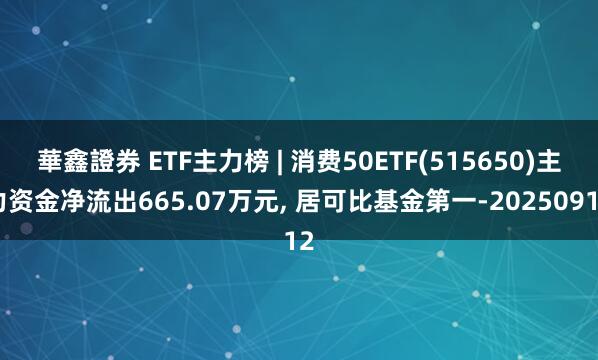 華鑫證券 ETF主力榜 | 消费50ETF(515650)主力资金净流出665.07万元, 居可比基金第一-20250912