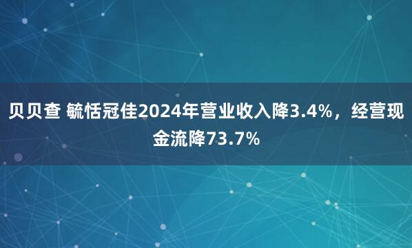 贝贝查 毓恬冠佳2024年营业收入降3.4%,经营现金流降73.7%