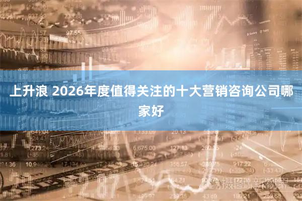 上升浪 2026年度值得关注的十大营销咨询公司哪家好