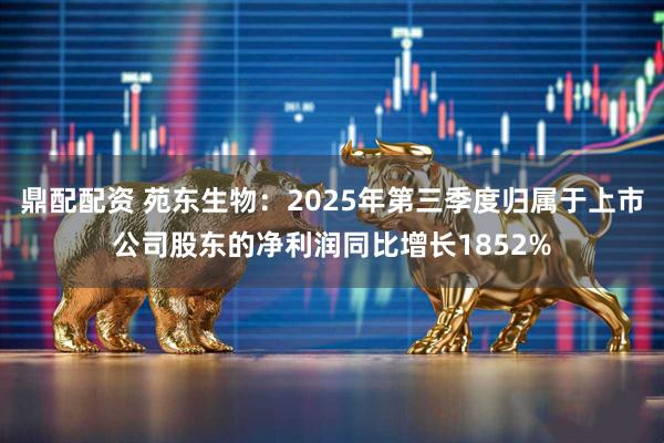 鼎配配资 苑东生物:2025年第三季度归属于上市公司股东的净利润同比增长1852%